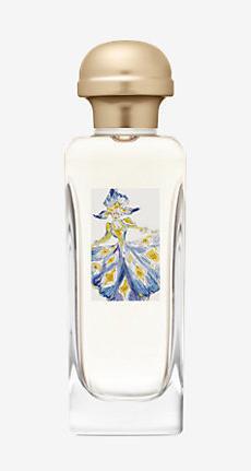 Actual product image Hermès Hiris (Eau de toilette, 100 ml)