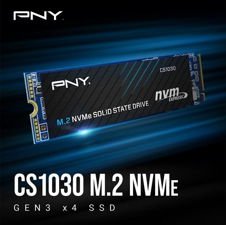 Image du produit PNY CS1030 (500 Go, M.2 2280)