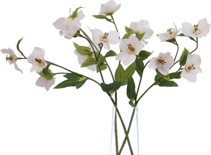Actual product image Hill Interiors The Natural Garden Collection Hellebore Artificial Flower (47 cm)