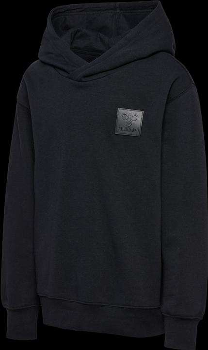 Image du produit hummel hmlCLEAN HOODIE (146)