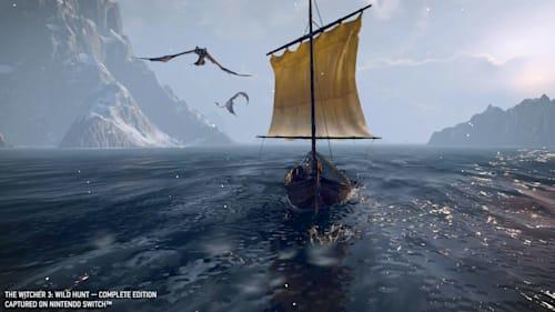 Image du produit Bandai Namco The Witcher 3: Wild Hunt (Switch, DE)