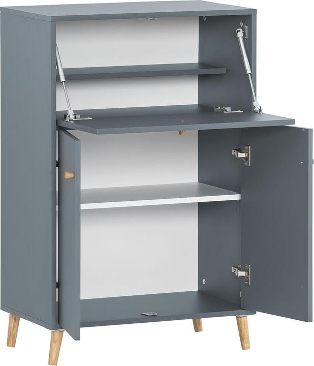 Schildmeyer Serie 500 (65.5 x 39 x 102 cm)