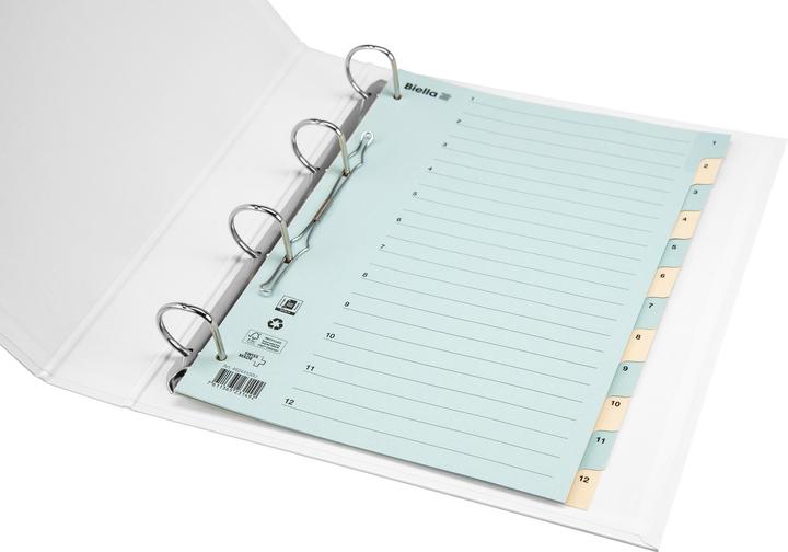 Actual product image Biella Register Cardboard coloured