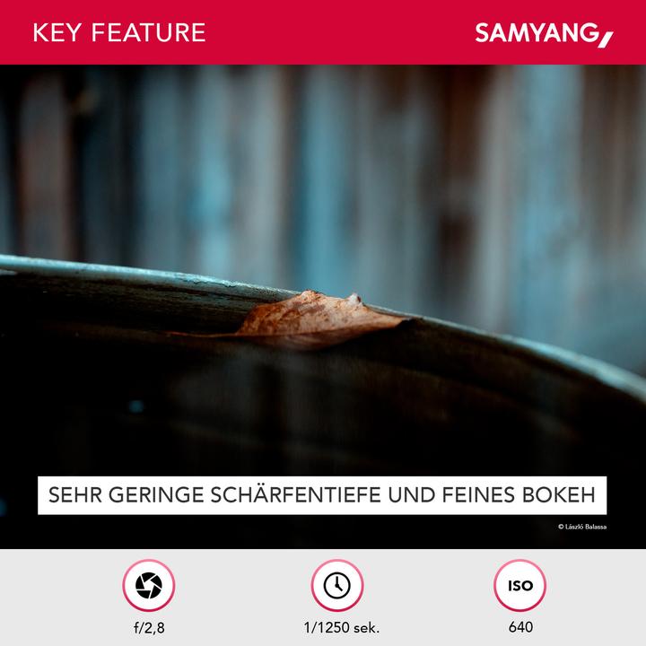 Actual product image Samyang 100mm f/2.8 ED UMC, Sony E (Sony E, full size, APS-C / DX)