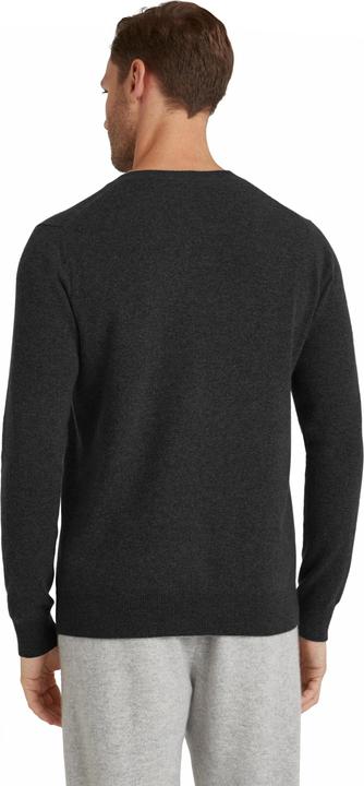 Immagine prodotto Falke LU Classic V-Neck m (XL)