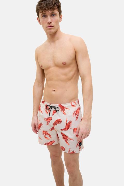 Immagine prodotto Jack & Jones Badehose MAUI Schwimm-Shorts (L)