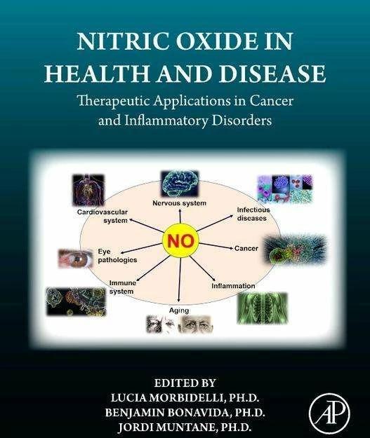 Actual product image Nitric Oxide in Health and Disease (English, 2023)