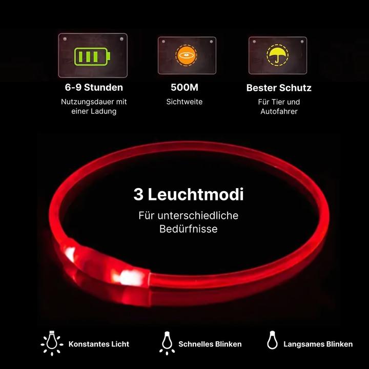 Produktbild Hermex LED-Leuchthalsband Sicherheits-Hundehalsband Hundehalsband Schlauchhalsband (Hund, Allgemein, Hundesport)