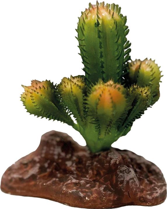 Repto Plant Deco Plant Cactus, 10 cm