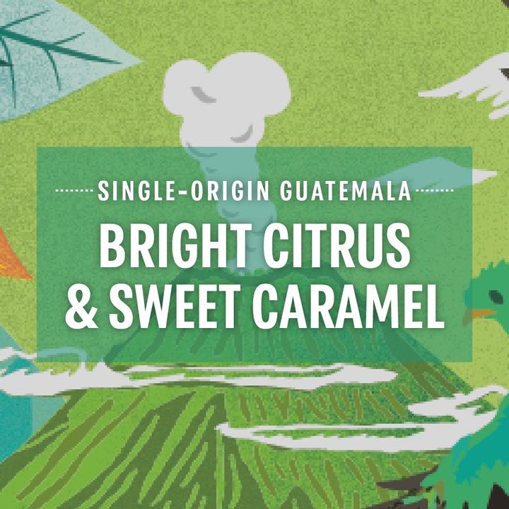 Actual product image Starbucks Single-Origin Guatemala by Nespresso Blonde Roast coffee (10 x Port.)