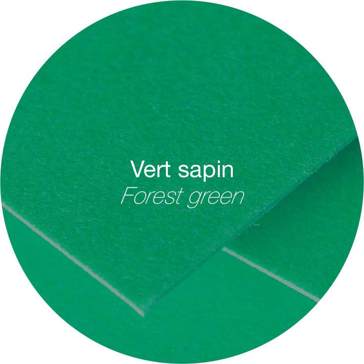 Produktbild Pollen Papier (120 g/m², 5 x, A4)