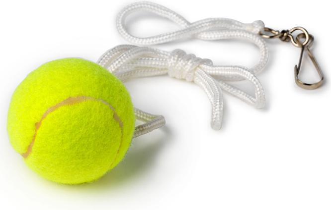 Produktbild Bex Sport Tether-Ballspiel