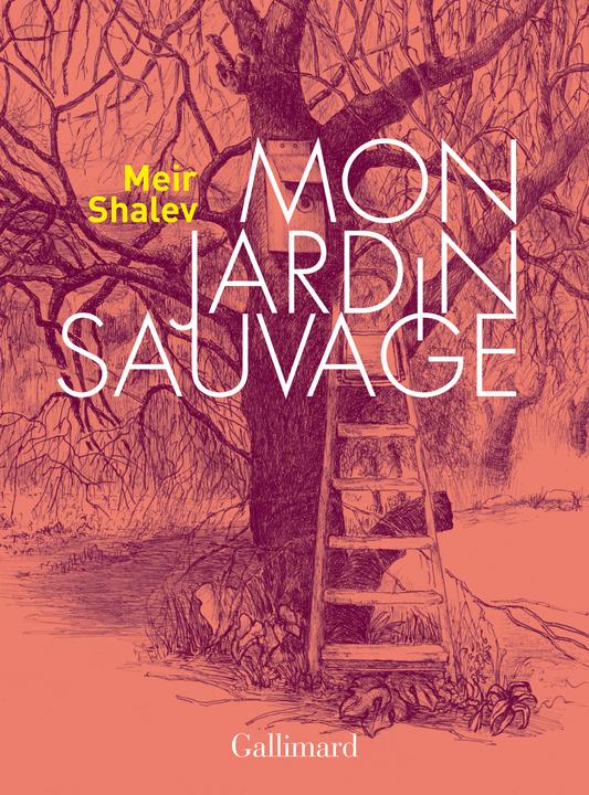 Image du produit Mon jardin sauvage (Français, Shalev Meir, 2021)