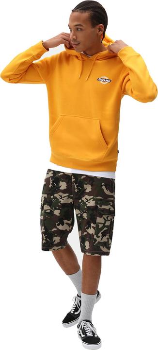 Actual product image Dickies Millerville Shorts (34)