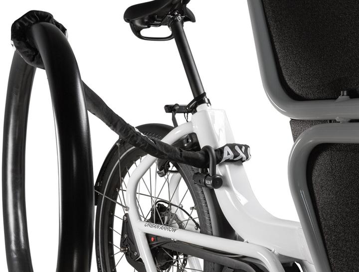 Actual product image AXA Loop 110