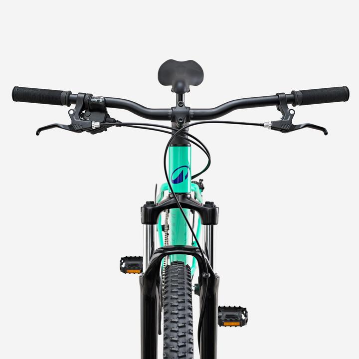 Actual product image Rockrider Mountainbike MTB 29 Zoll EXPL 100 grün