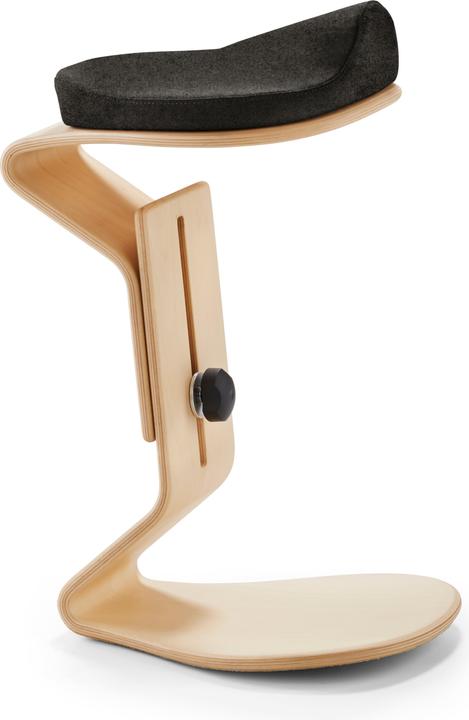 Immagine prodotto Nest Nature Sgabello ergonomico Ercolino