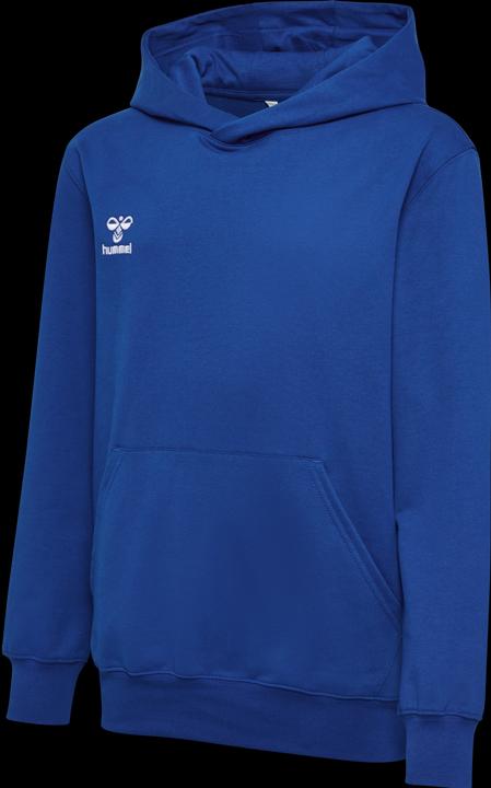 Image du produit hummel HMLGO 2.0 HOODIE KIDS (164)