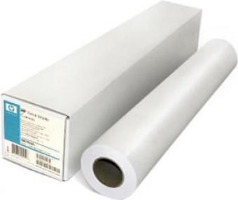 Actual product image HP Professional Canvas matte 392 g/m² 1067mm x 15.2 m (392 g/m², 1 x)