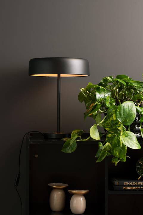 Actual product image Natec Table Lamp Gold Disc (E14)