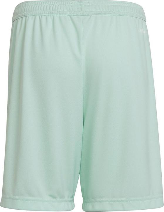 Actual product image adidas Entrada 22 Shorts (152)