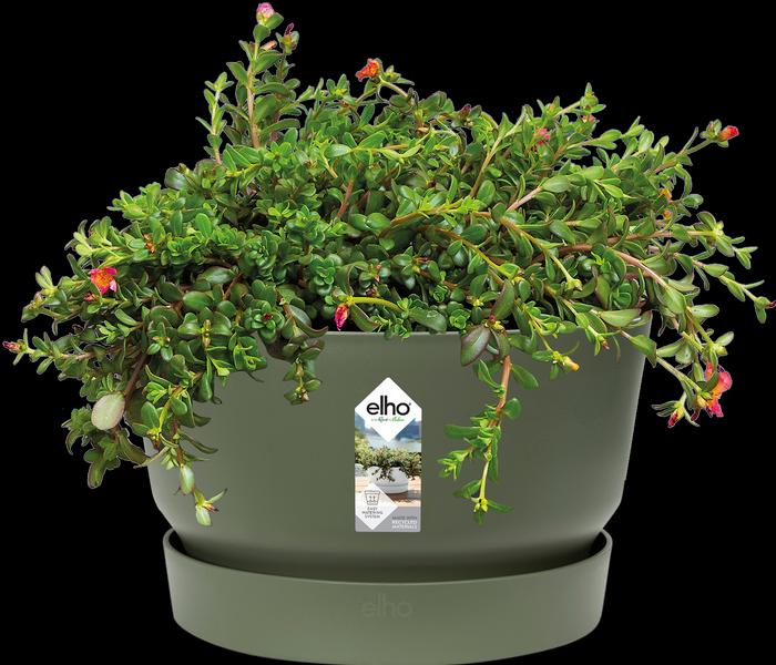Produktbild Elho Greenville Bowl (32.50 cm)