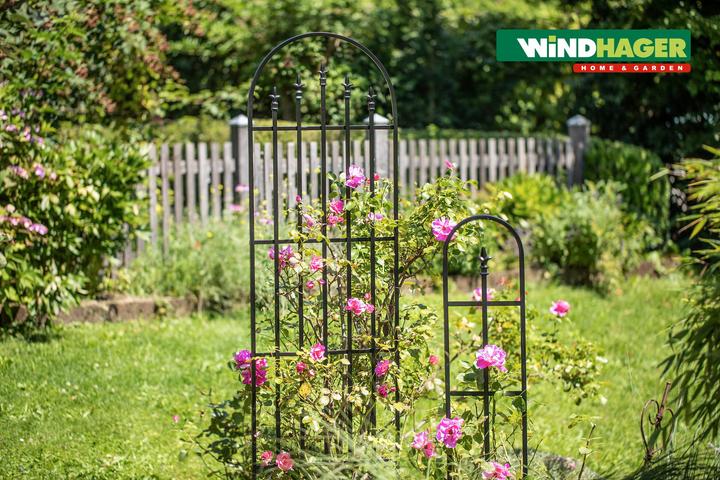Produktbild Windhager Blumenranke (152 cm, 26 cm)