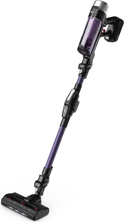 Image du produit Rowenta X-Force Flex 9.60 RH2039
