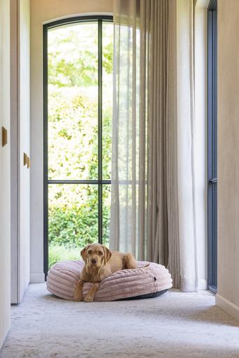 Productafbeelding Designed by Lotte Reza ligkussen (Hond)