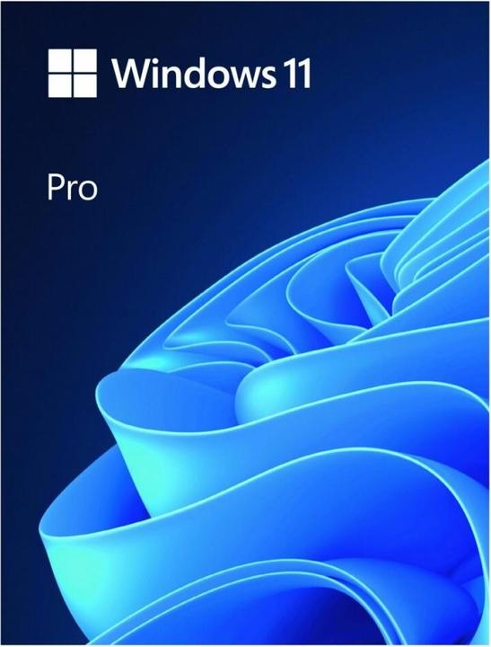Actual product image Microsoft Windows 11 Pro (1 User, unlimited)