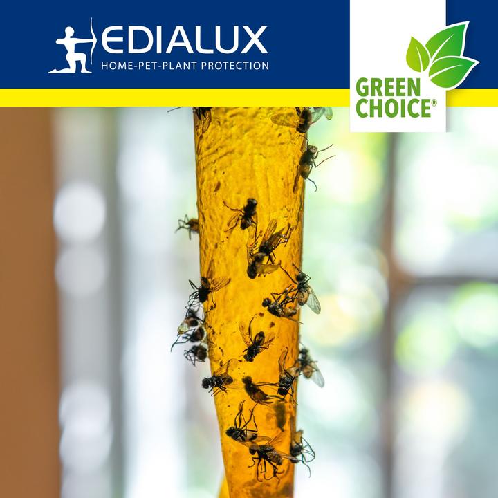 Productafbeelding Edialux Green Choice - Vliegenvanger, 4 stuks