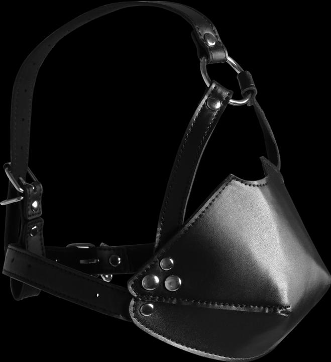 Actual product image Ouch! Head Harness with Mouth Cover and Solid Ball Gag