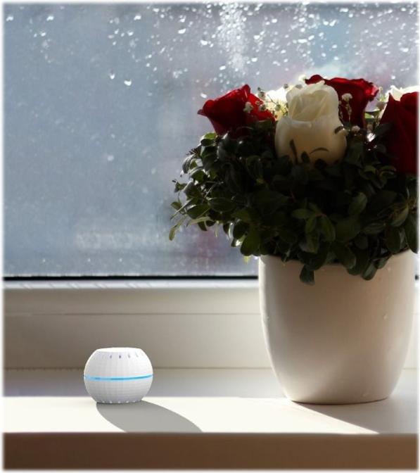 Immagine prodotto Shelly Sensore di umidità e temperatura dell'aria WLAN