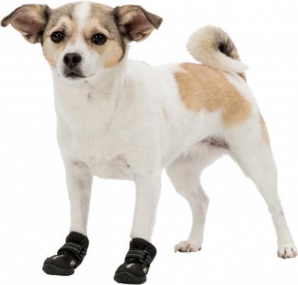 Produktbild Trixie Pfotenschutz Walker Active (S, M, Hundeschuhe)