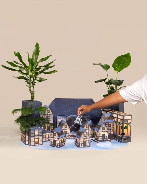 Produktbild feey Pflanzen Adventskalender (60 cm)