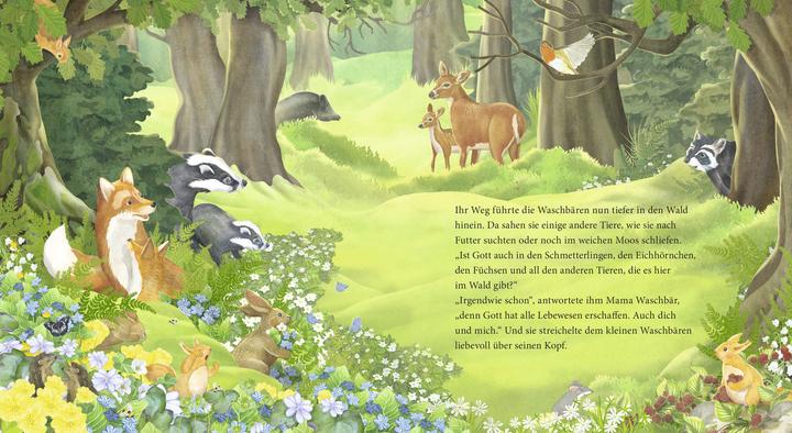 Actual product image Der kleine Waschbär fragt nach Gott – ein Bilderbuch für Kinder ab 2 Jahren (German, Lea Kässmann, 2020)
