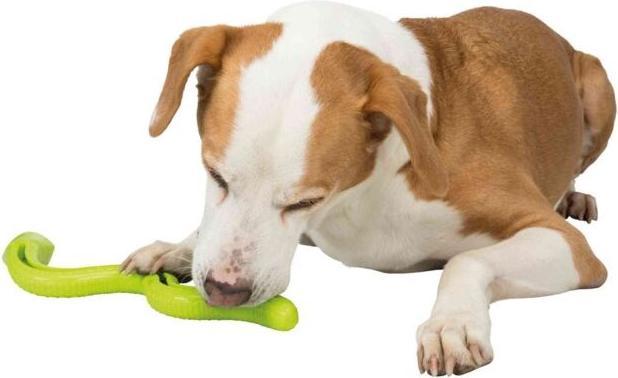 Produktbild Trixie Hunde-Spielzeug Snack-Snake, 27 cm, Grün (Kauspielzeug Hund)