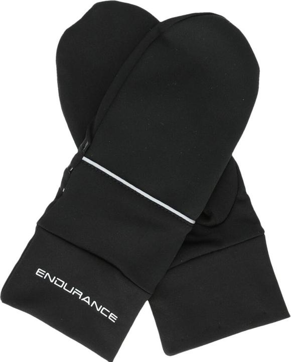 Endurance Zanny