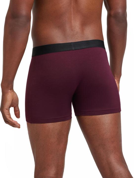 Actual product image Falke 2-Pack Men (S, pack of 2)