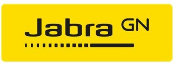 Actual product image Jabra ear pads