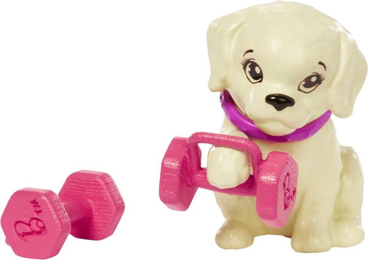 Immagine prodotto Barbie Doll and Accessories