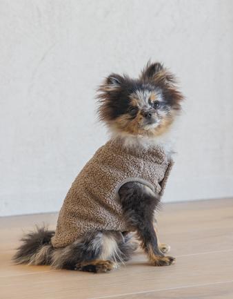 Produktbild Designed by Lotte Hundepullover Madeleine (S, Hundepullover)