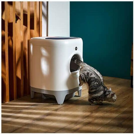 Actual product image Petkit PURA X Self-cleaning litter tray White (Self-cleaning litter tray)