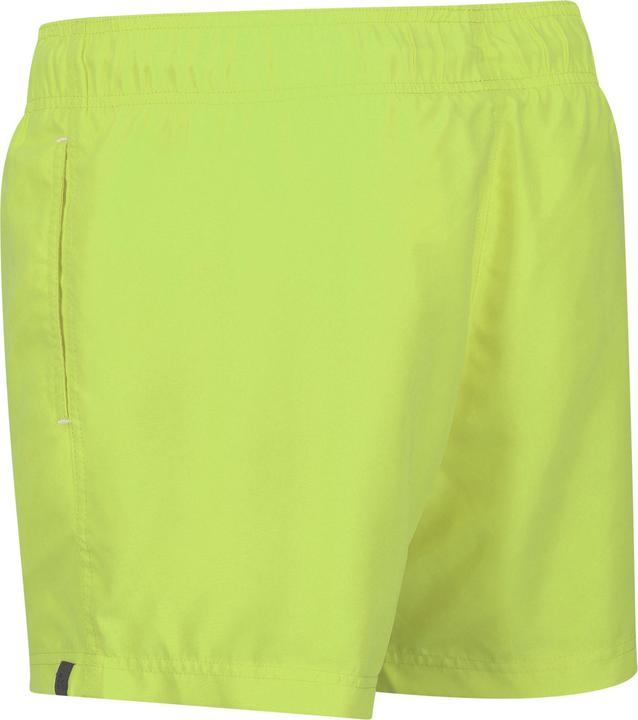 Actual product image Regatta Mens Mawson II Swim Shorts (XXL)