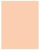 Immagine prodotto Sisley Stylo Correct No 1 (1 Luce)