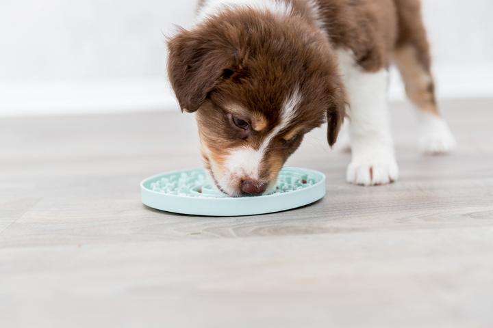 Produktbild Trixie Junior Schleckplatte (Snackbeutel Hund)