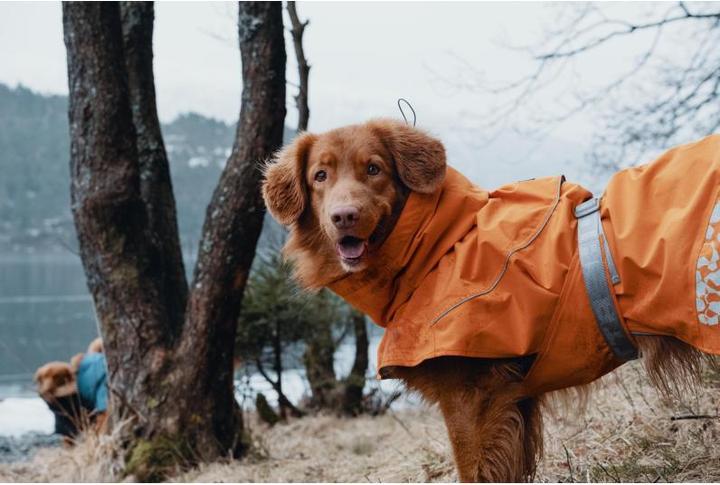 Image du produit Hurtta Imperméable de mousson orange (30, XS, Manteau pour chien)