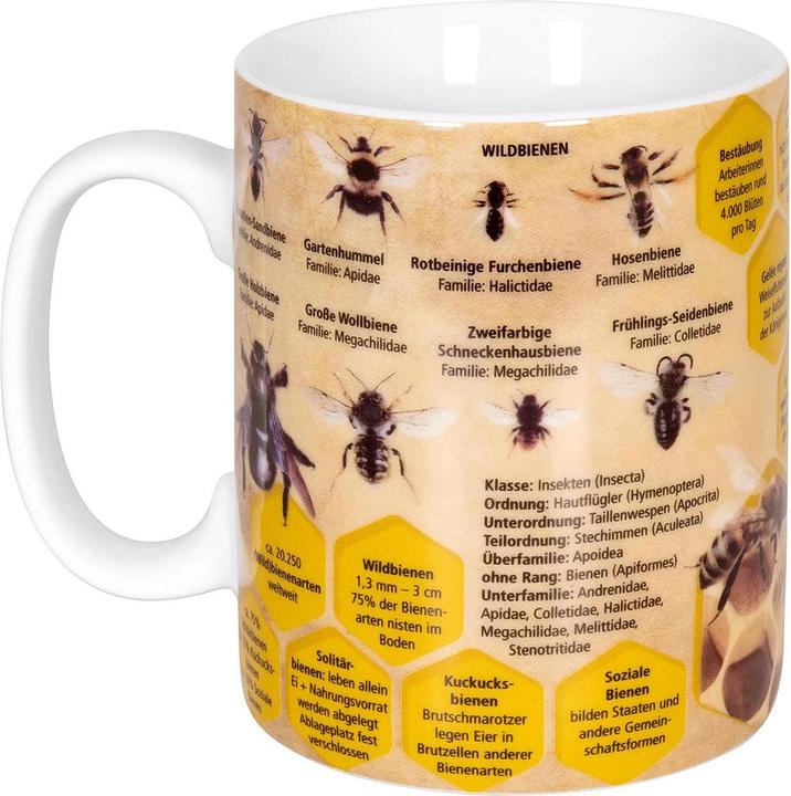Actual product image Könitz Coffee Mug Knowledge Bee 490 ml, 1 piece, Multicolor (490 ml, 1 x)