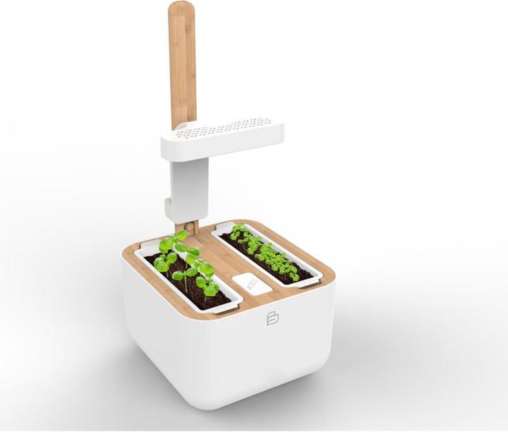 Produktbild Véritable Botaneo Eylo (18.40 cm)