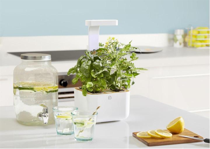 Produktbild Véritable Botaneo Eylo (18.40 cm)